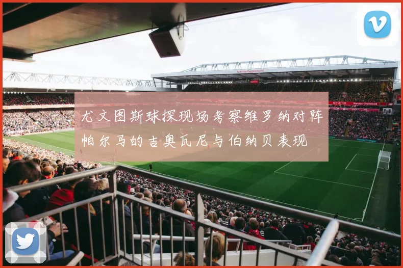 尤文图斯球探现场考察维罗纳对阵帕尔马的吉奥瓦尼与伯纳贝表现