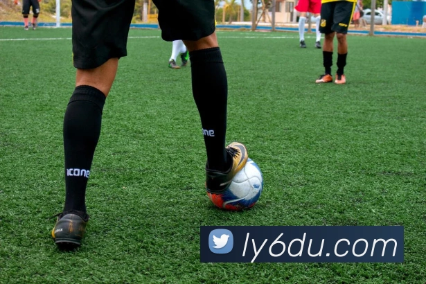 九州网页版平台生态图