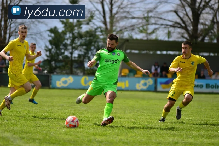 九州网页版APP 封面图